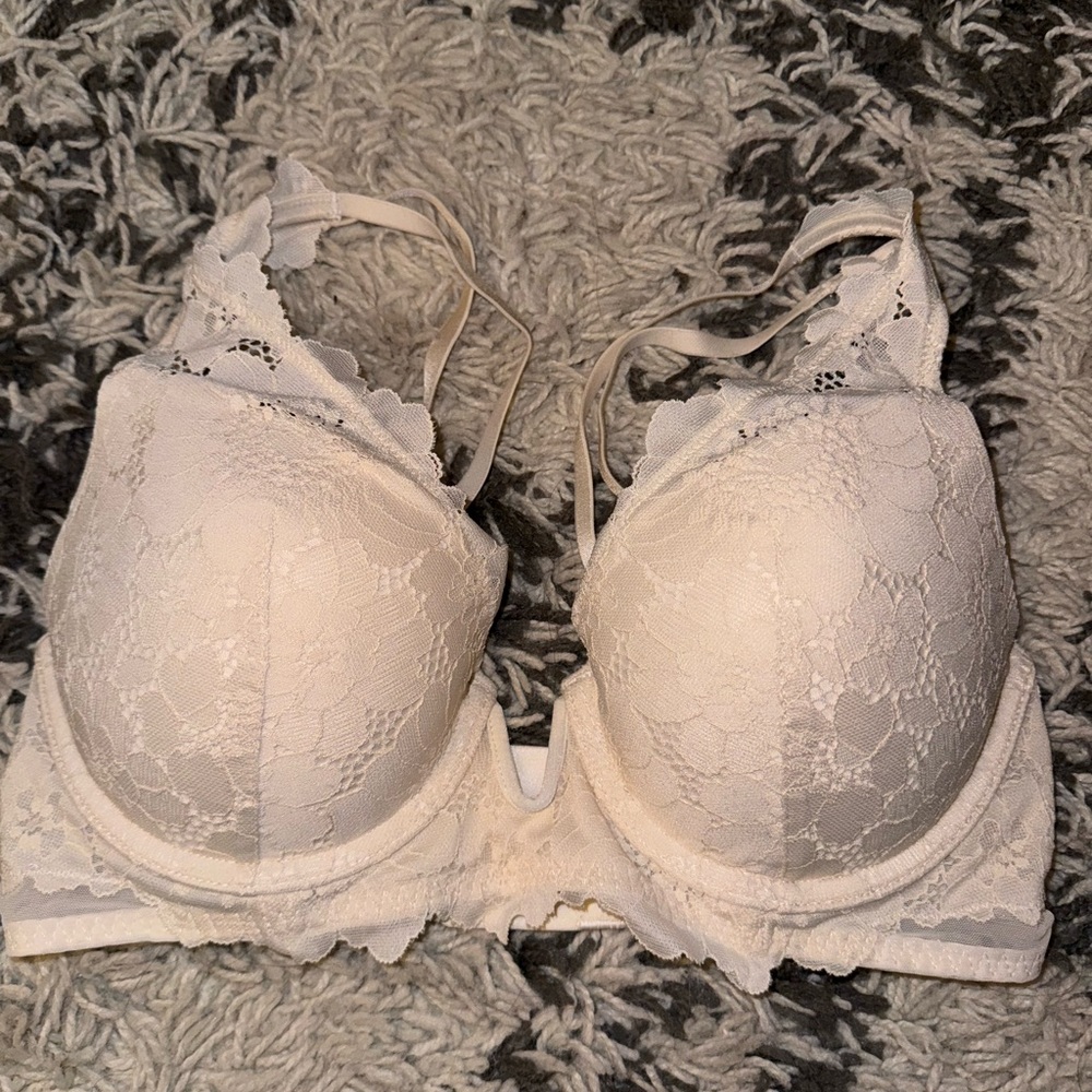 Aerie Garden Lace Plunge Push Up